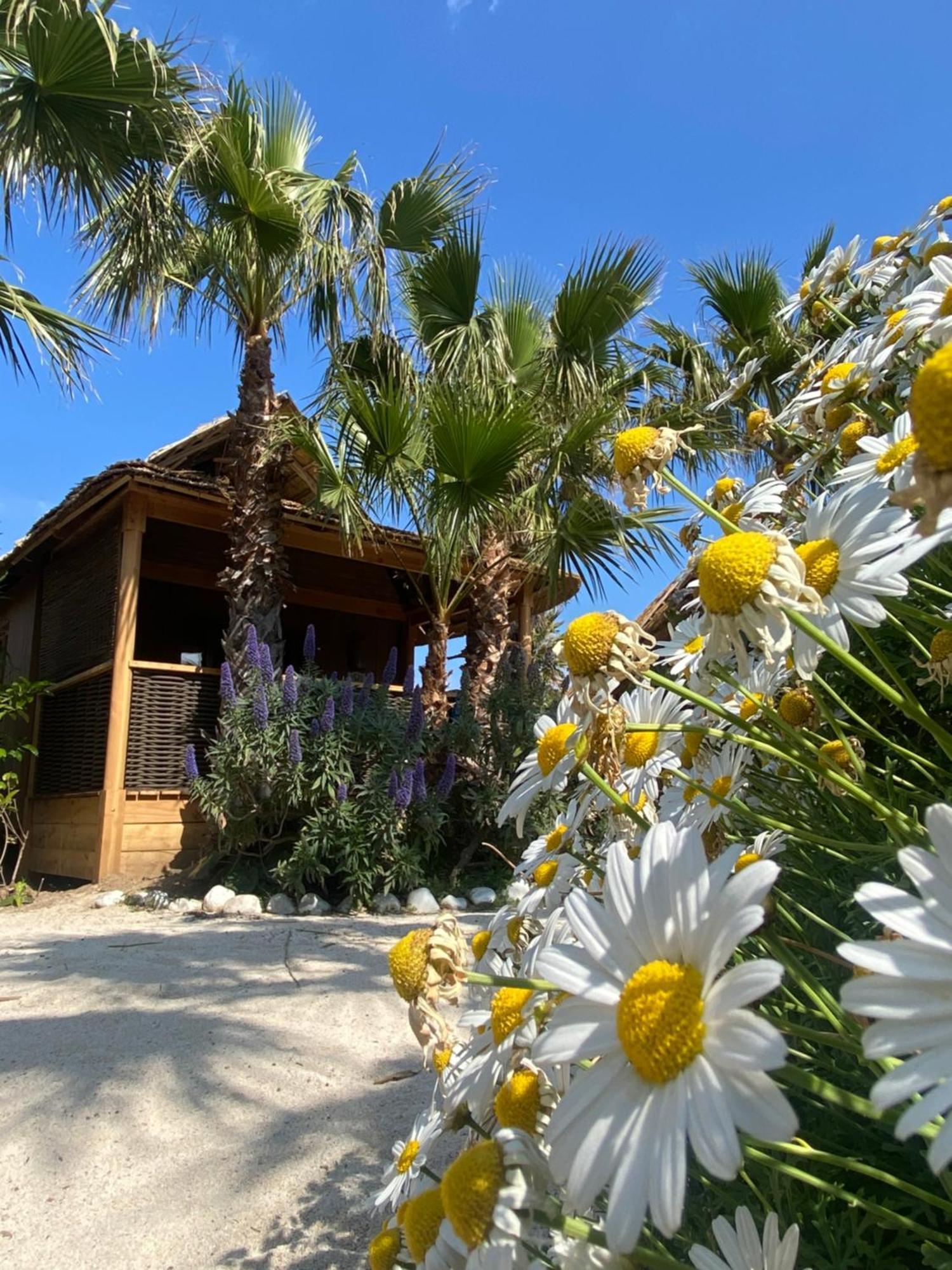 Kon Tiki Hotel Ramatuelle Bagian luar foto